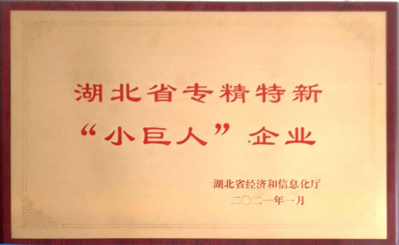 湖北省專精特新小巨人