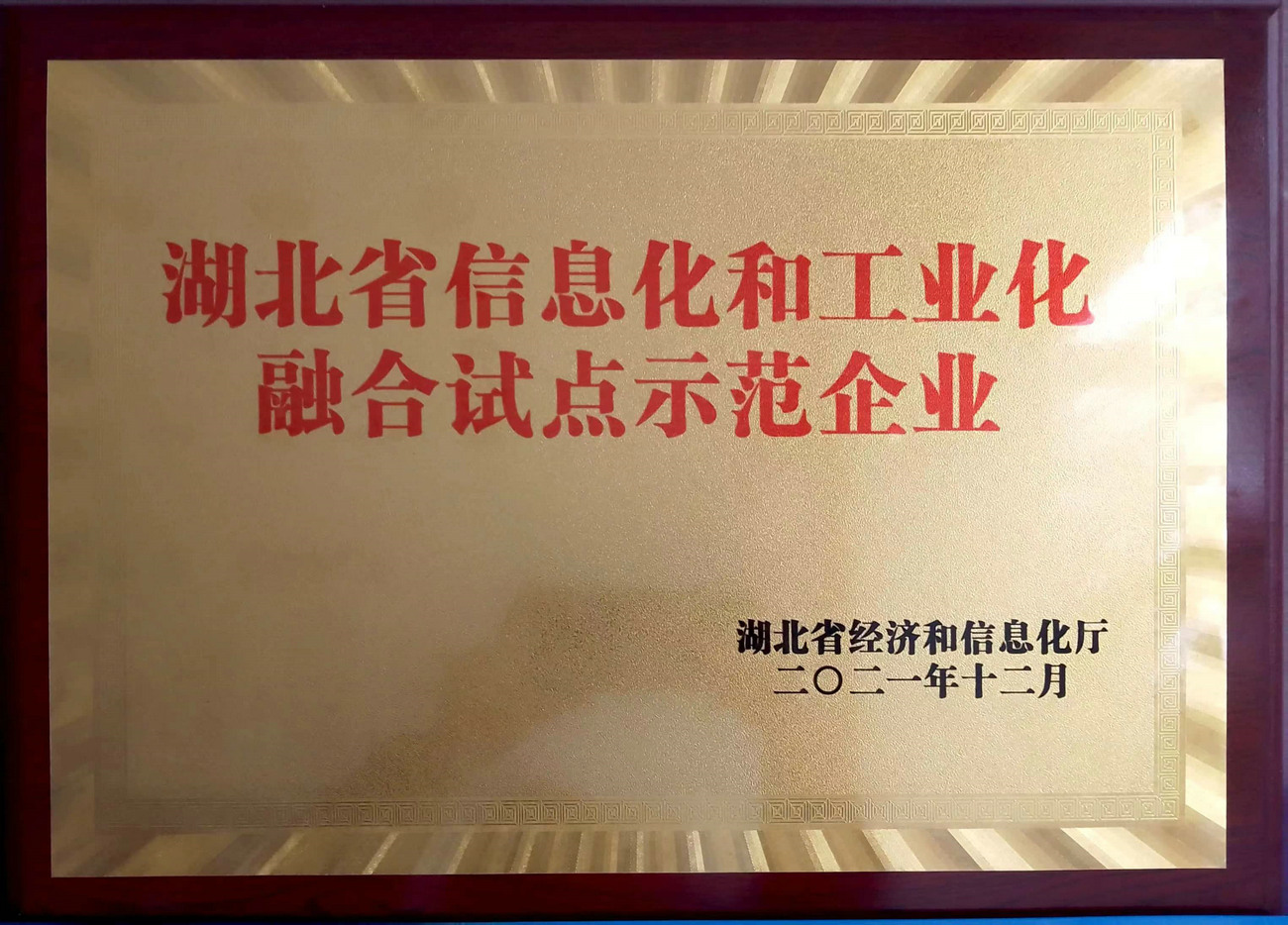 兩化融合試范企業(yè)
